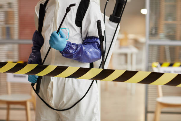 Professional Sewage Cleanup technician working in Parkton, MD